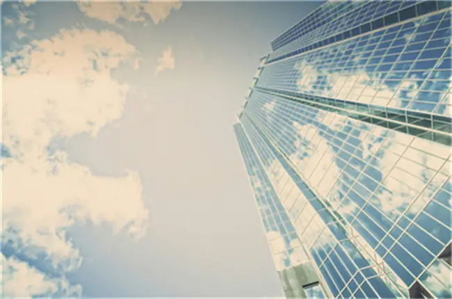 各个企业资金怎么查